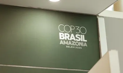 COP30: Edital oferece até R$3 mil a projetos ambientais infantojuvenis Iniciativa pretende envolver escolas e coletivos com representatividade de diferentes territórios e biomas do Brasil