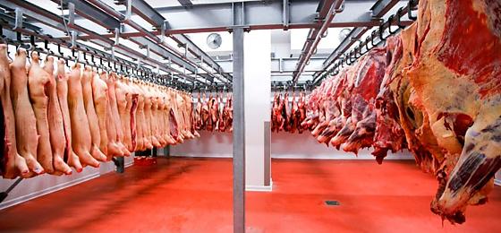 Tarifaço dos EUA não afeta pecuária de MT Presidente do Imac afirma que o setor superou o “tarifaço” dos EUA e quer fortalecer o mercado nacional