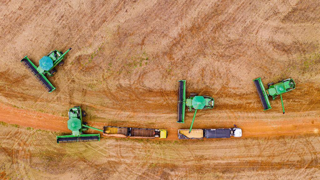 Mato Grosso consolida estratégia de diversificação internacional com abertura de 15 novos mercados Estado ampliou presença global e passou de 148 para 164 países compradores em dois anos