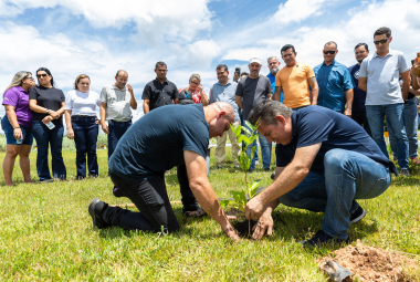 Parceria entre Prefeitura e Governo garante plantio de 10 mil árvores em Cuiabá